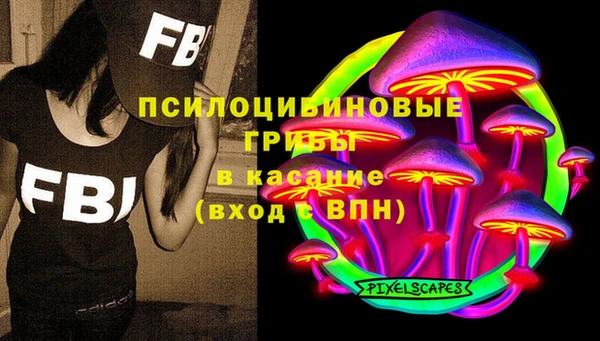 МДПВ Абинск