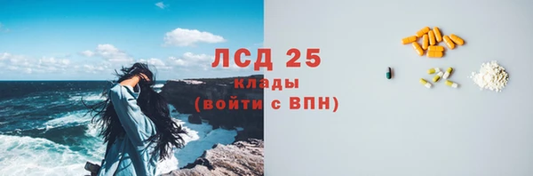 ECSTASY Алзамай