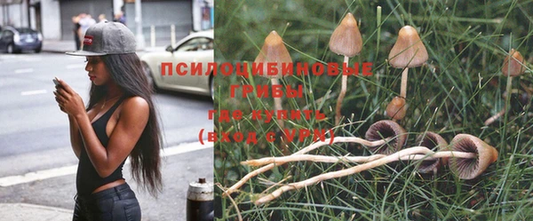 дмт Алексин