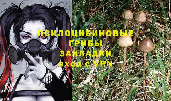 круглые Нягань
