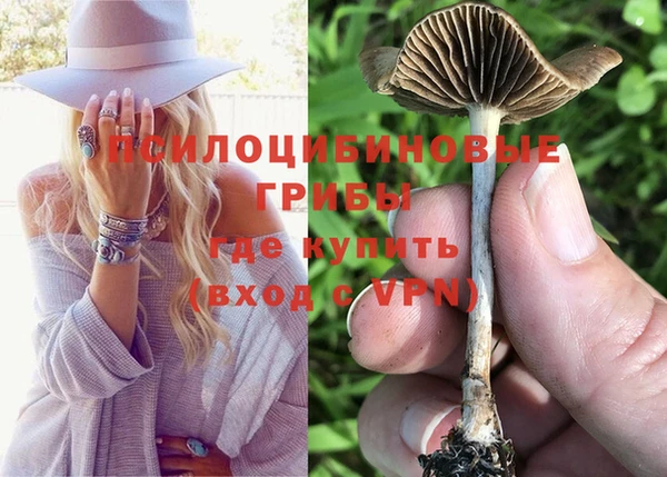 мескалин Абаза