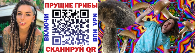 Галлюциногенные грибы ЛСД  МЕГА tor  Ступино 